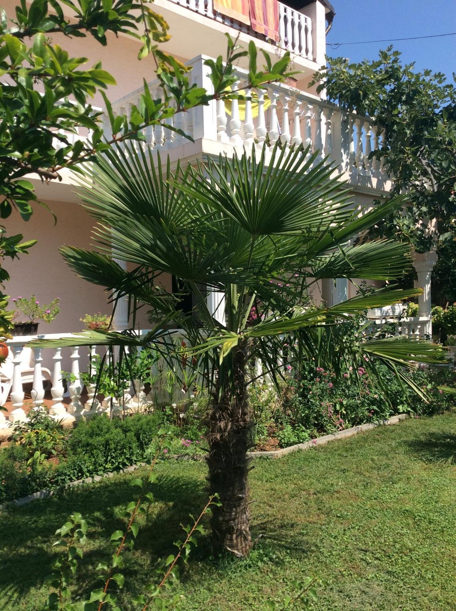 Apartament Chiara *